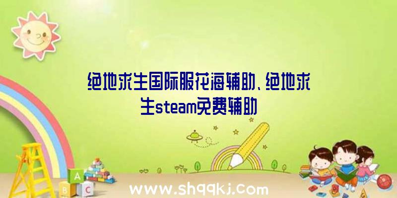 绝地求生国际服花海辅助、绝地求生steam免费辅助