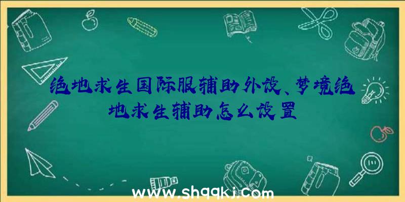 绝地求生国际服辅助外设、梦境绝地求生辅助怎么设置