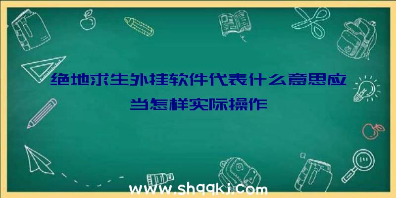 绝地求生外挂软件代表什么意思应当怎样实际操作