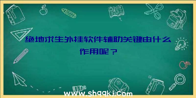 绝地求生外挂软件辅助关键由什么作用呢？