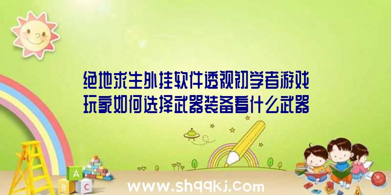 绝地求生外挂软件透视初学者游戏玩家如何选择武器装备看什么武器装备合适你