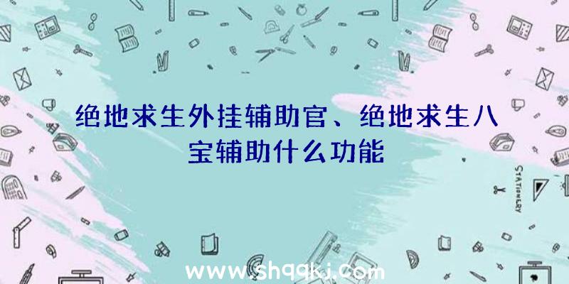 绝地求生外挂辅助官、绝地求生八宝辅助什么功能