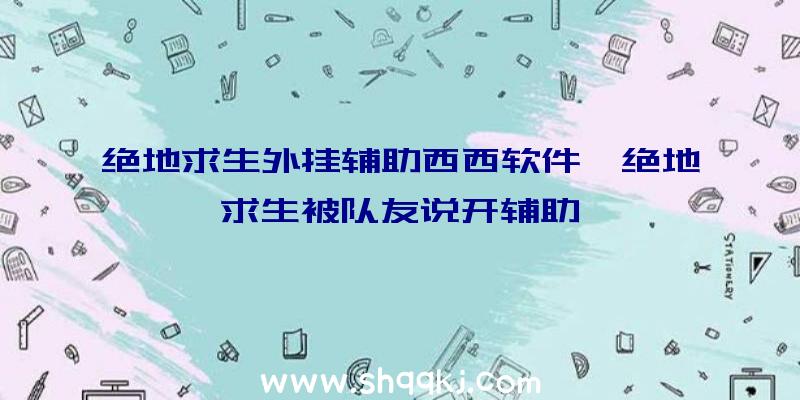 绝地求生外挂辅助西西软件、绝地求生被队友说开辅助