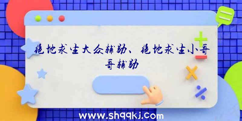 绝地求生大众辅助、绝地求生小哥哥辅助