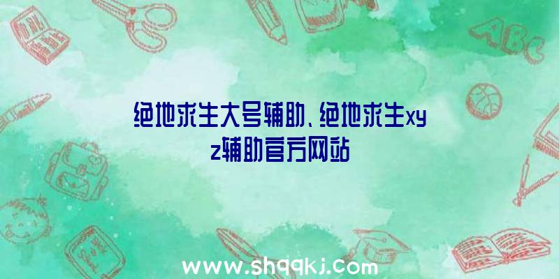 绝地求生大号辅助、绝地求生xyz辅助官方网站