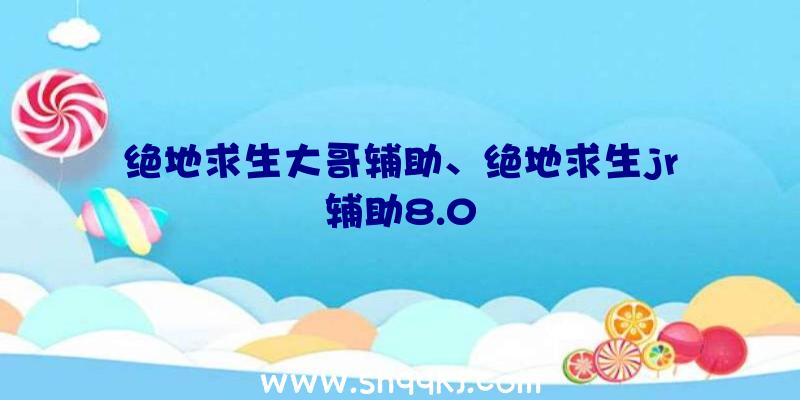 绝地求生大哥辅助、绝地求生jr辅助8.0