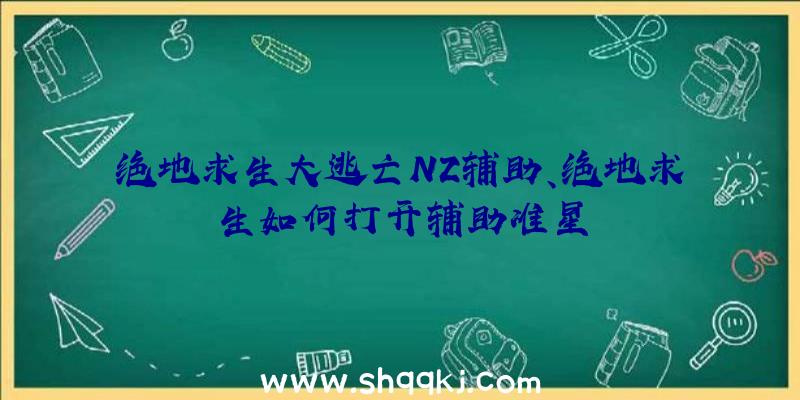 绝地求生大逃亡NZ辅助、绝地求生如何打开辅助准星
