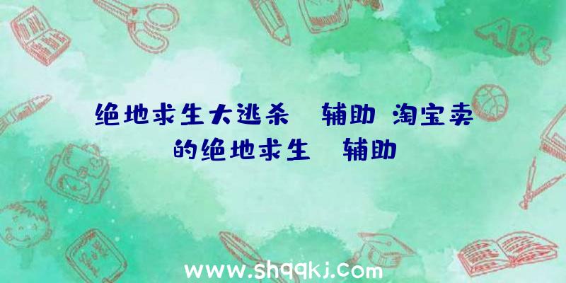 绝地求生大逃杀hk辅助、淘宝卖的绝地求生LD辅助