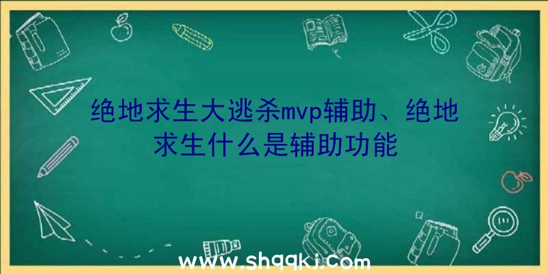 绝地求生大逃杀mvp辅助、绝地求生什么是辅助功能