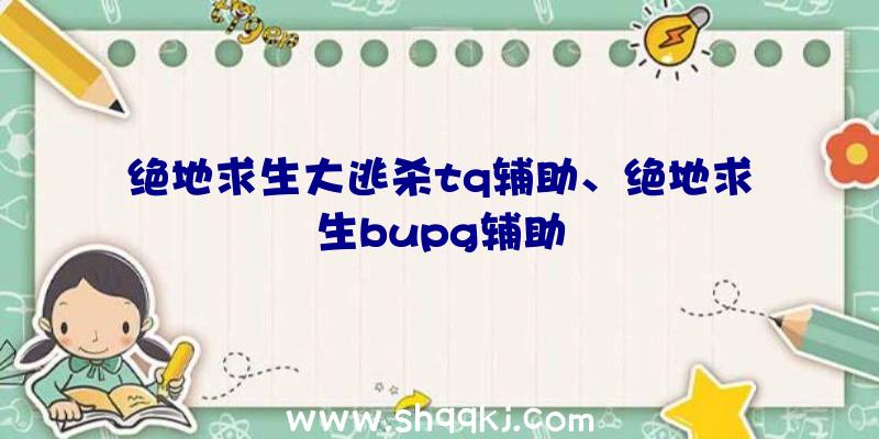 绝地求生大逃杀tq辅助、绝地求生bupg辅助