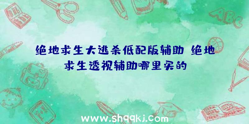 绝地求生大逃杀低配版辅助、绝地求生透视辅助哪里买的