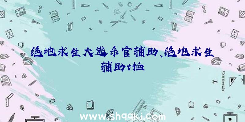 绝地求生大逃杀官辅助、绝地求生辅助t恤