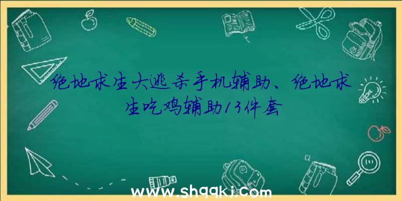 绝地求生大逃杀手机辅助、绝地求生吃鸡辅助13件套