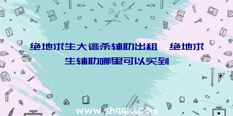 绝地求生大逃杀辅助出租、绝地求生辅助哪里可以买到