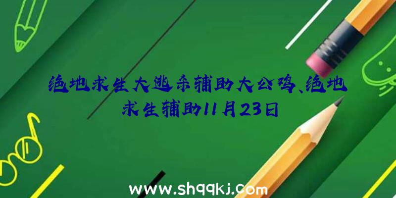 绝地求生大逃杀辅助大公鸡、绝地求生辅助11月23日