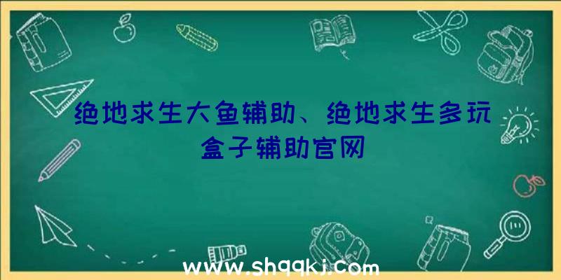 绝地求生大鱼辅助、绝地求生多玩盒子辅助官网