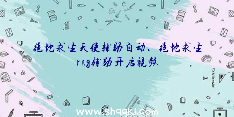 绝地求生天使辅助自动、绝地求生rng辅助开启视频