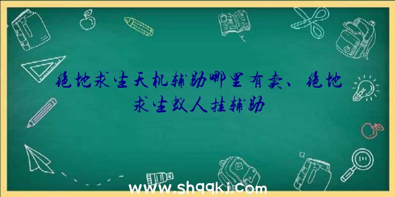 绝地求生天机辅助哪里有卖、绝地求生蚁人挂辅助