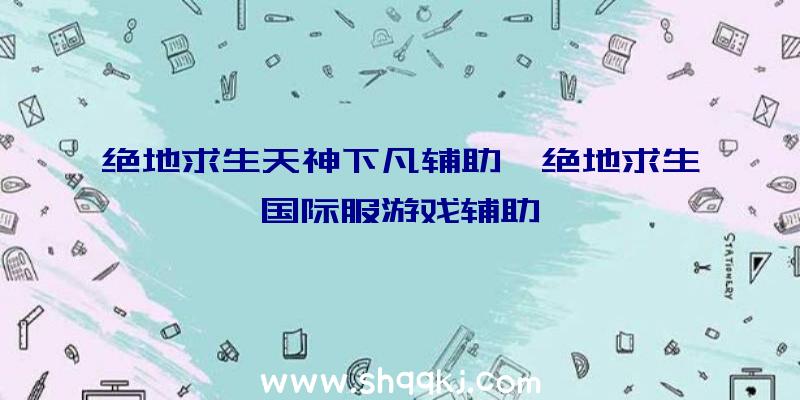 绝地求生天神下凡辅助、绝地求生国际服游戏辅助