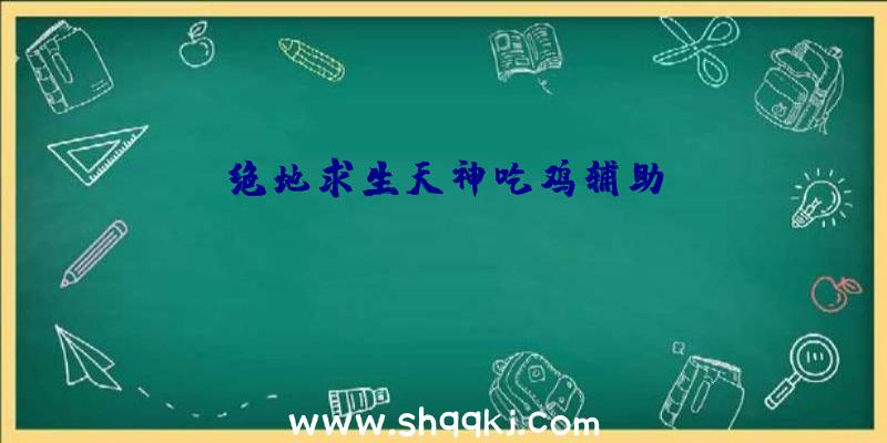 绝地求生天神吃鸡辅助