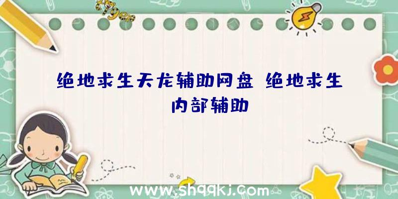 绝地求生天龙辅助网盘、绝地求生sk内部辅助