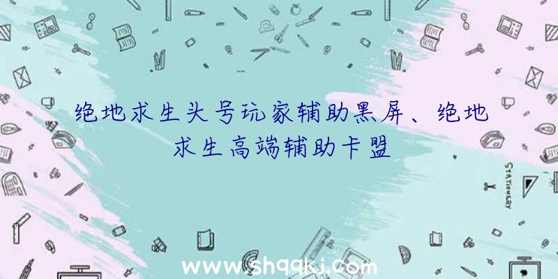 绝地求生头号玩家辅助黑屏、绝地求生高端辅助卡盟