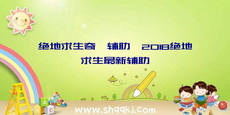 绝地求生奇葩辅助、2018绝地求生最新辅助