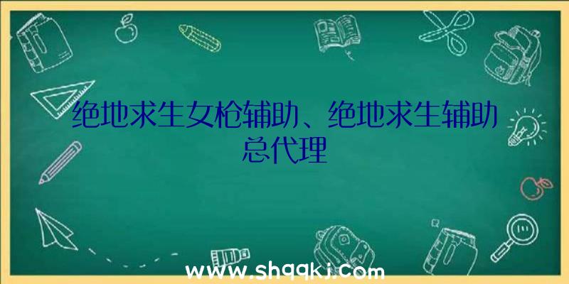 绝地求生女枪辅助、绝地求生辅助总代理