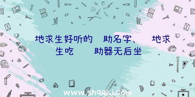 绝地求生好听的辅助名字、绝地求生吃鸡辅助器无后坐