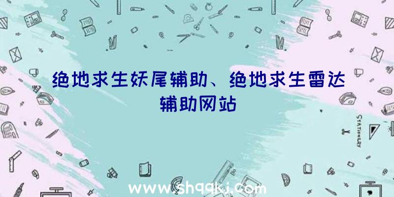 绝地求生妖尾辅助、绝地求生雷达辅助网站