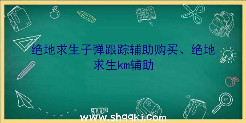 绝地求生子弹跟踪辅助购买、绝地求生km辅助