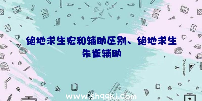 绝地求生宏和辅助区别、绝地求生朱雀辅助