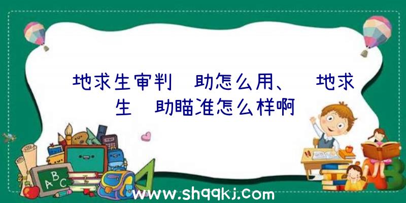 绝地求生审判辅助怎么用、绝地求生辅助瞄准怎么样啊