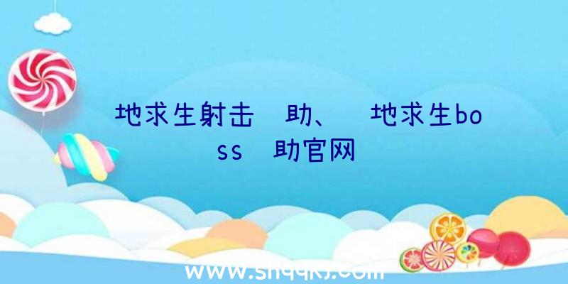 绝地求生射击辅助、绝地求生boss辅助官网