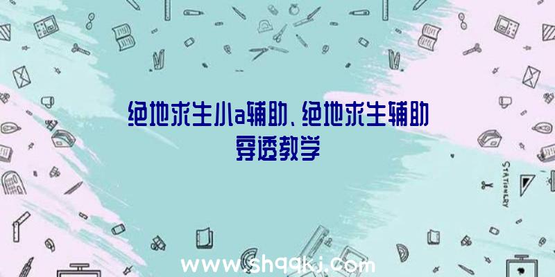 绝地求生小a辅助、绝地求生辅助穿透教学