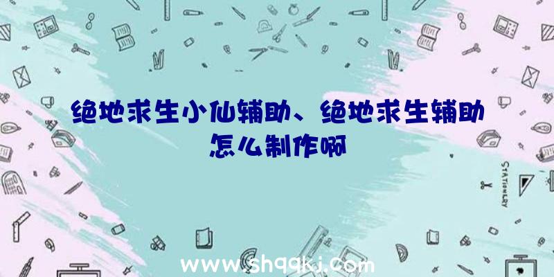 绝地求生小仙辅助、绝地求生辅助怎么制作啊