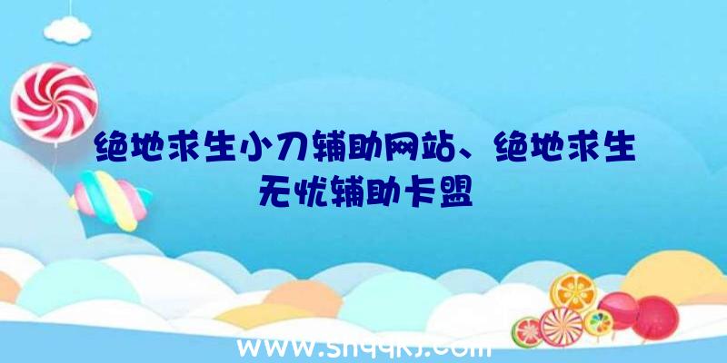 绝地求生小刀辅助网站、绝地求生无忧辅助卡盟