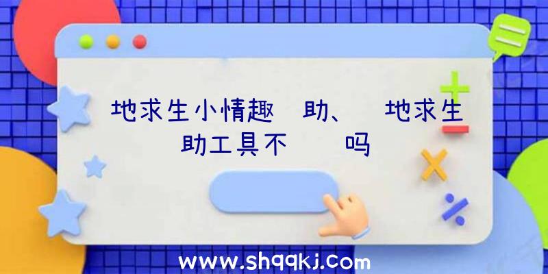 绝地求生小情趣辅助、绝地求生辅助工具不违规吗