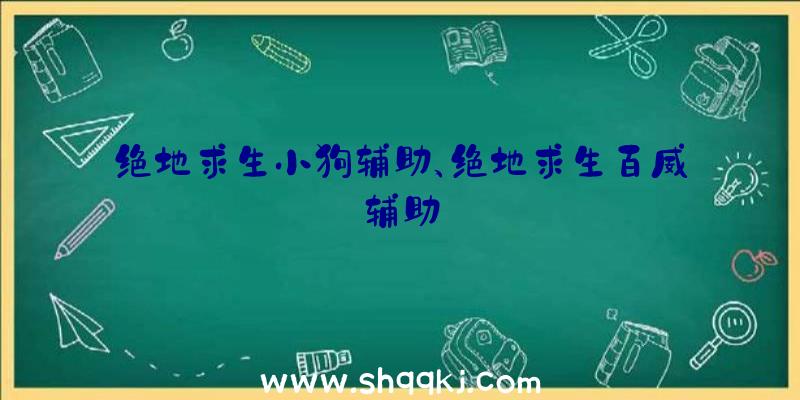 绝地求生小狗辅助、绝地求生百威辅助