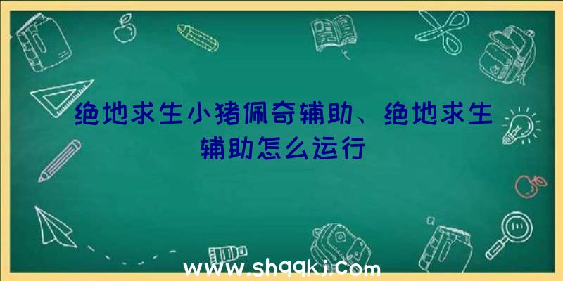 绝地求生小猪佩奇辅助、绝地求生辅助怎么运行