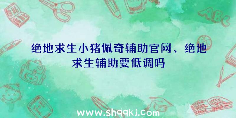 绝地求生小猪佩奇辅助官网、绝地求生辅助要低调吗