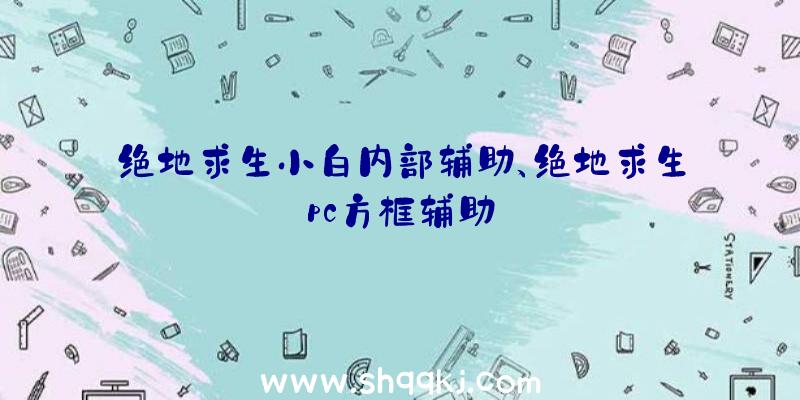 绝地求生小白内部辅助、绝地求生pc方框辅助