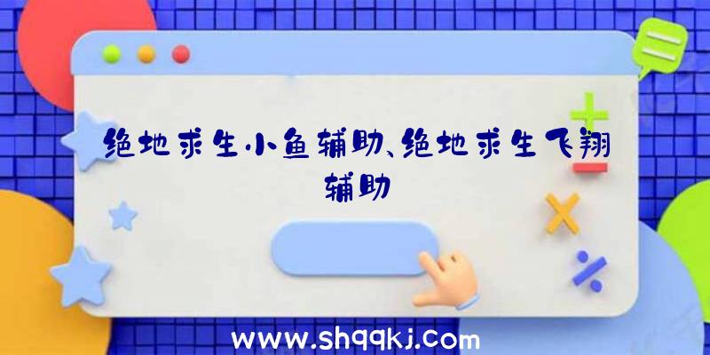 绝地求生小鱼辅助、绝地求生飞翔辅助