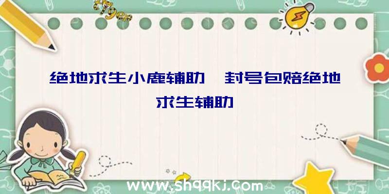 绝地求生小鹿辅助、封号包赔绝地求生辅助