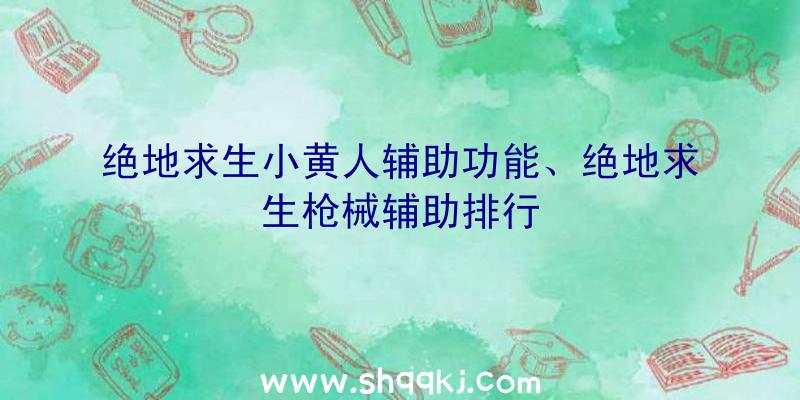 绝地求生小黄人辅助功能、绝地求生枪械辅助排行