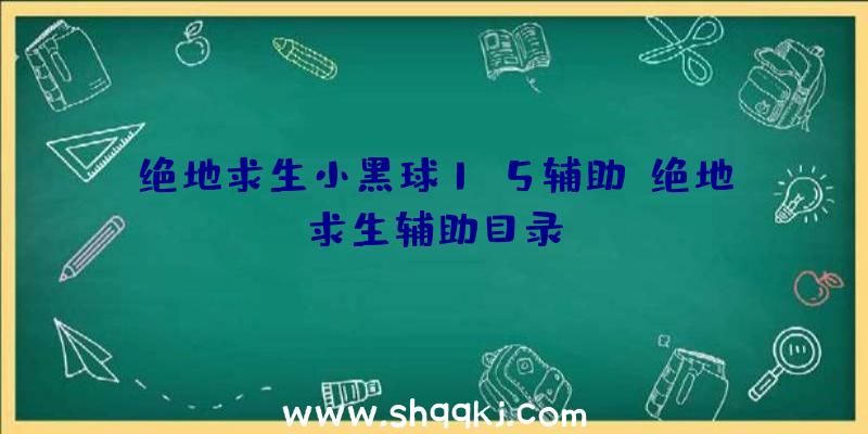 绝地求生小黑球1.5辅助、绝地求生辅助目录