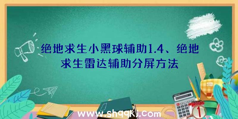 绝地求生小黑球辅助1.4、绝地求生雷达辅助分屏方法