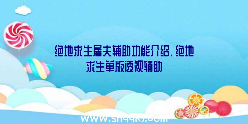 绝地求生屠夫辅助功能介绍、绝地求生单版透视辅助