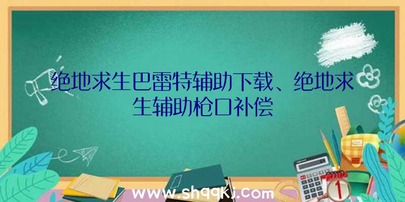 绝地求生巴雷特辅助下载、绝地求生辅助枪口补偿