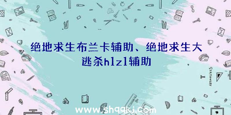 绝地求生布兰卡辅助、绝地求生大逃杀h1z1辅助